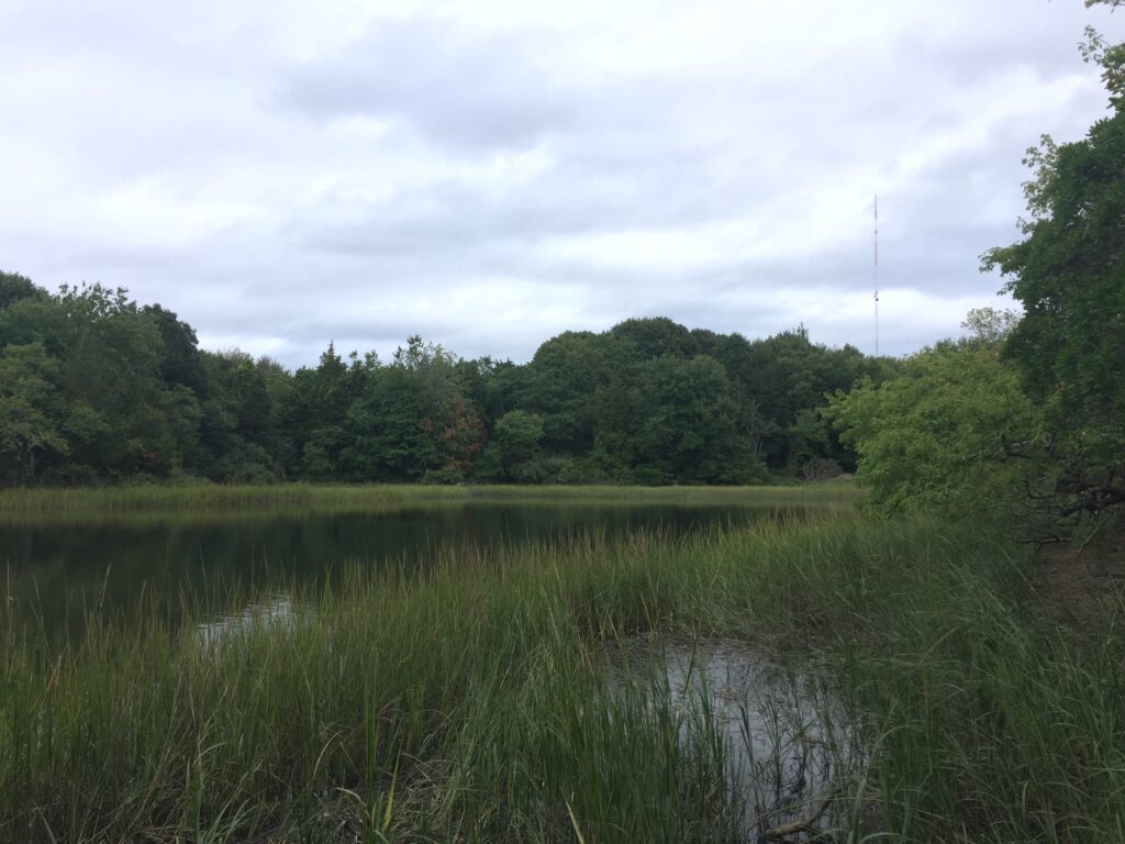 Sakonnet River